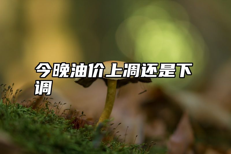 今晚油价上凋还是下调
