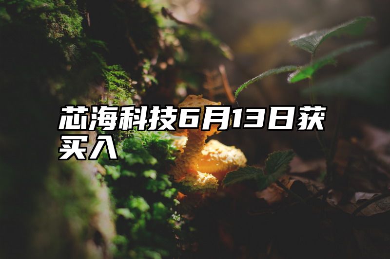 芯海科技6月13日获买入