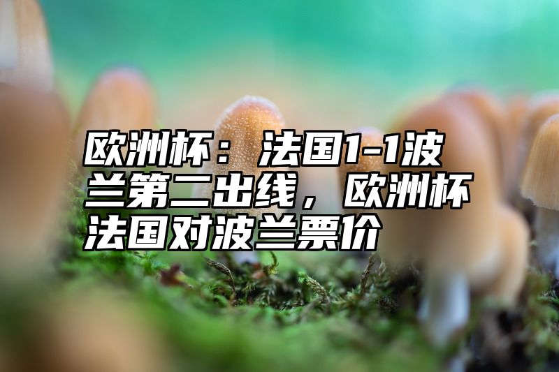 欧洲杯：法国1-1波兰第二出线，欧洲杯法国对波兰票价