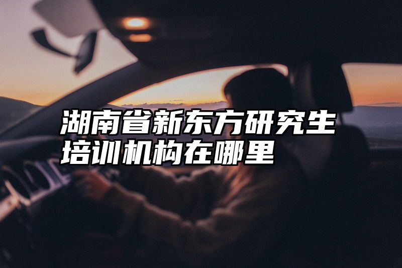 湖南省新东方研究生培训机构在哪里