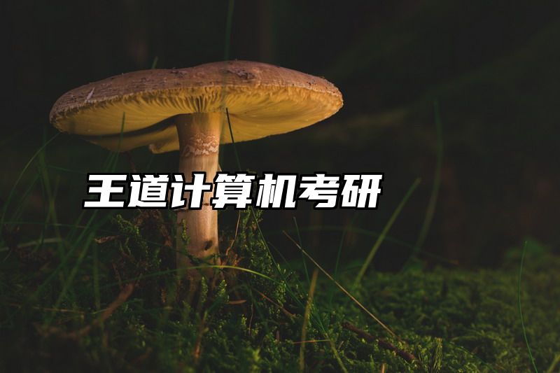 王道计算机考研