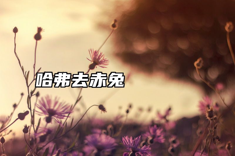 哈弗去赤兔