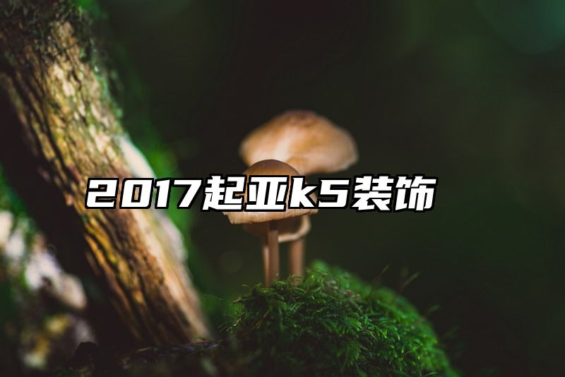 2017起亚k5装饰