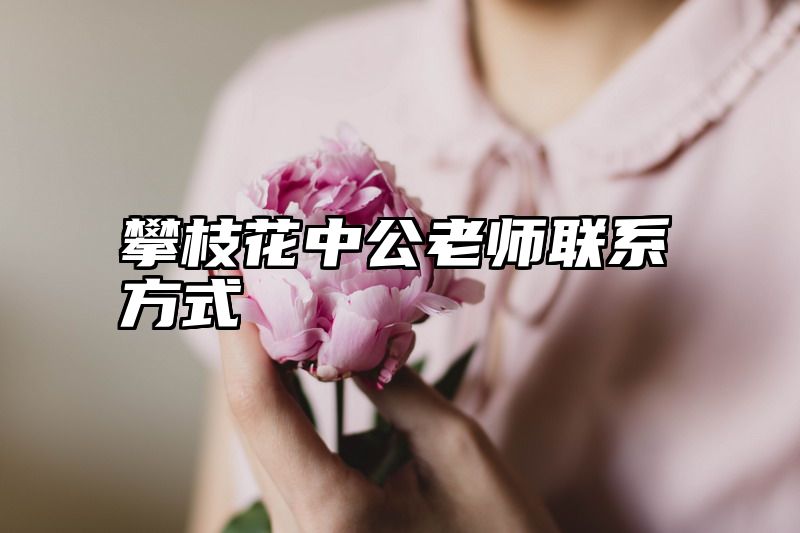 攀枝花中公老师联系方式
