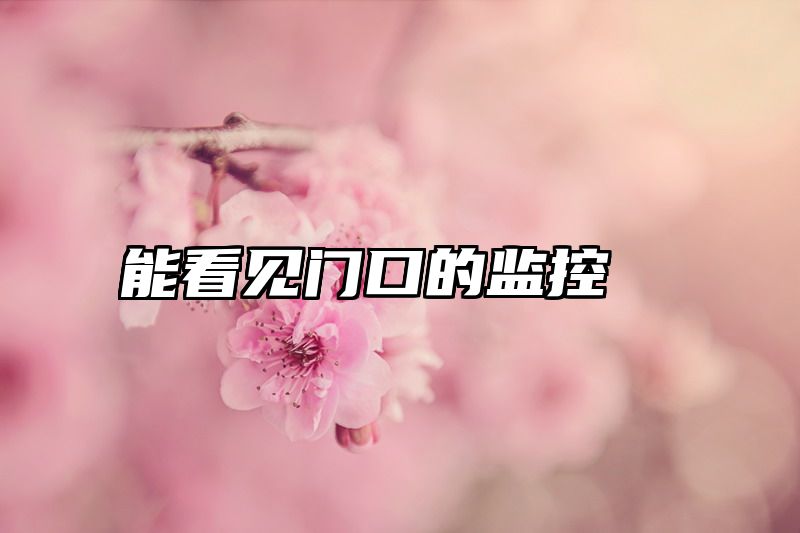 能看见门口的监控