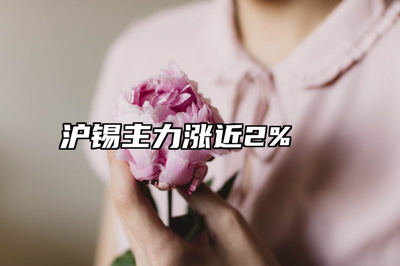 沪锡主力涨近2%