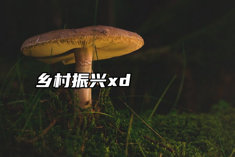 乡村振兴xd