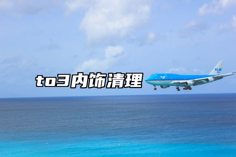 to3内饰清理