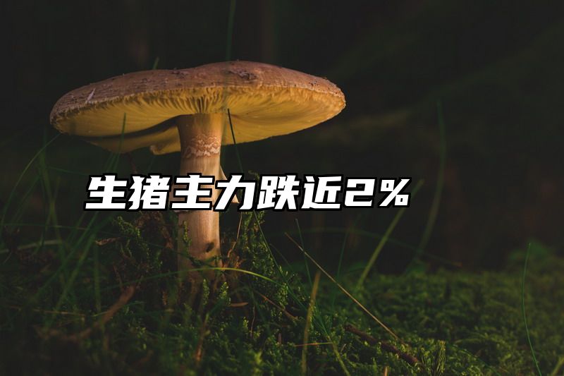 生猪主力跌近2%