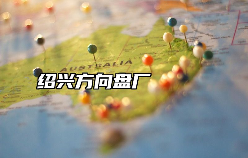 绍兴方向盘厂