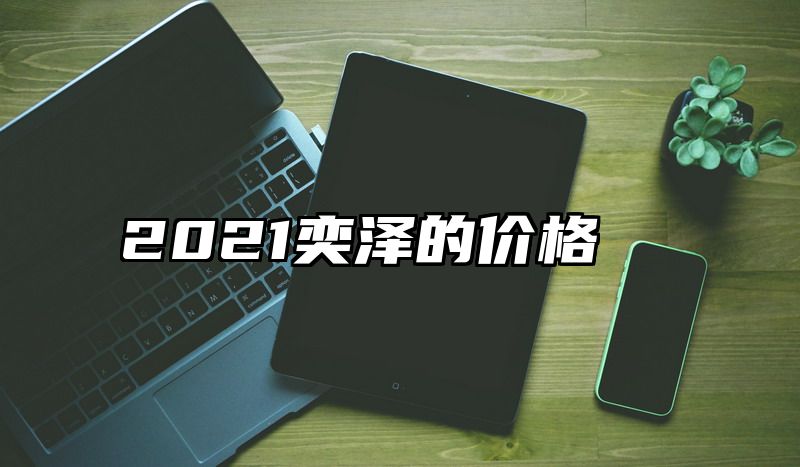 2021奕泽的价格