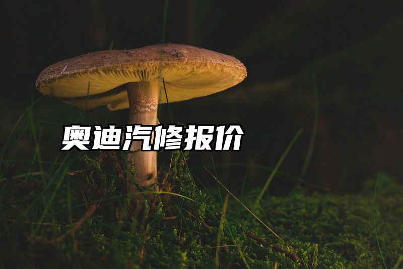 奥迪汽修报价