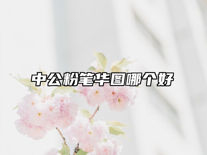 中公粉笔华图哪个好