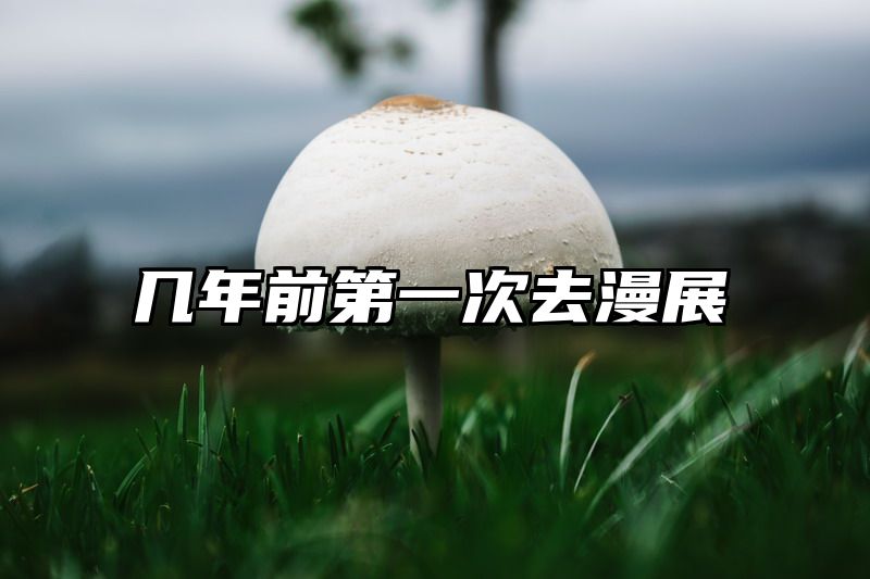 几年前第一次去漫展