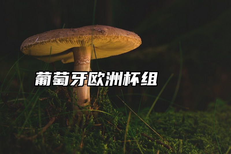 葡萄牙欧洲杯组
