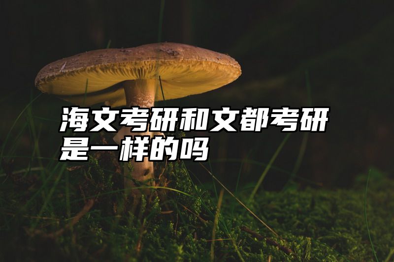海文考研和文都考研是一样的吗