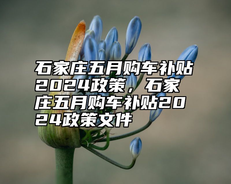 石家庄五月购车补贴2024政策，石家庄五月购车补贴2024政策文件