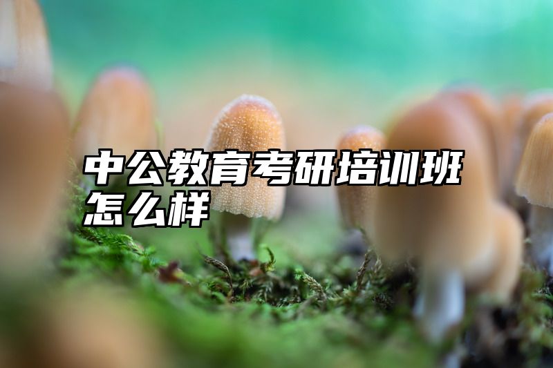 中公教育考研培训班怎么样