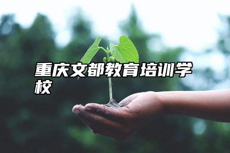 重庆文都教育培训学校