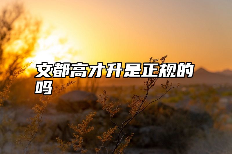 文都高才升是正规的吗