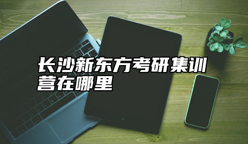 长沙新东方考研集训营在哪里