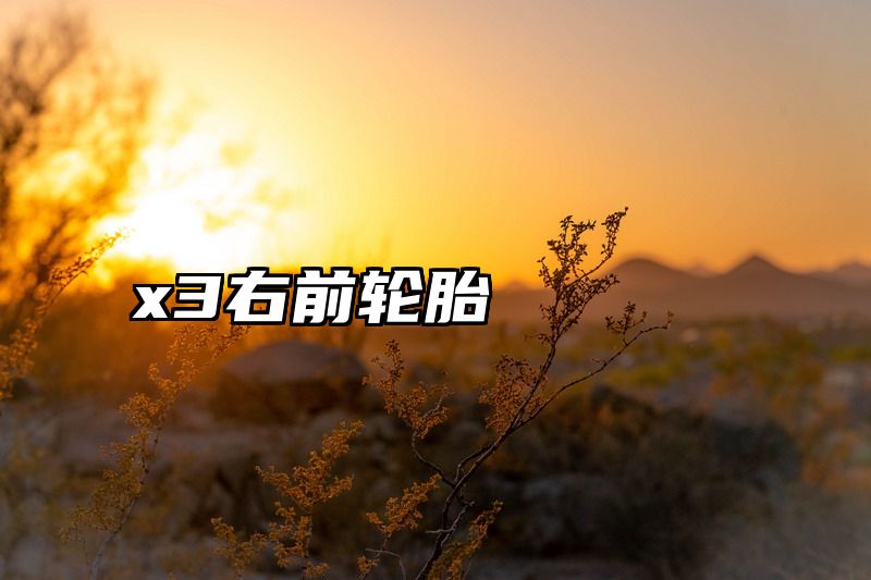 x3右前轮胎