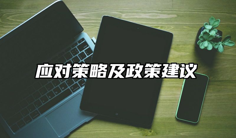 应对策略及政策建议