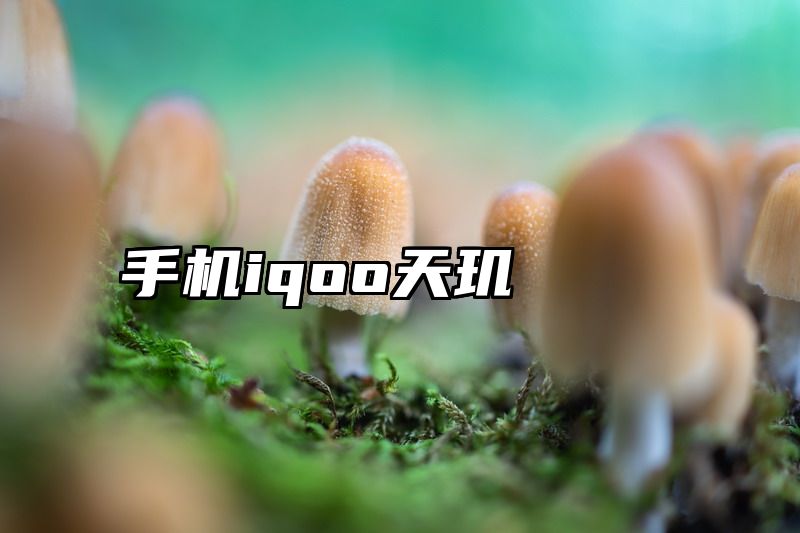 手机iqoo天玑