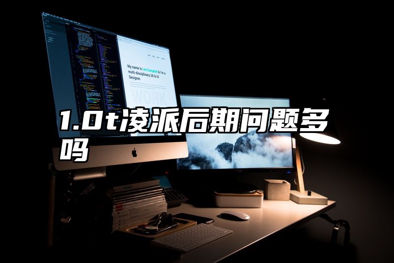 1.0t凌派后期问题多吗