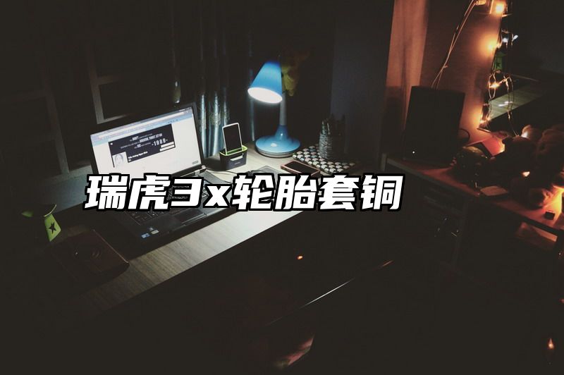 瑞虎3x轮胎套铜