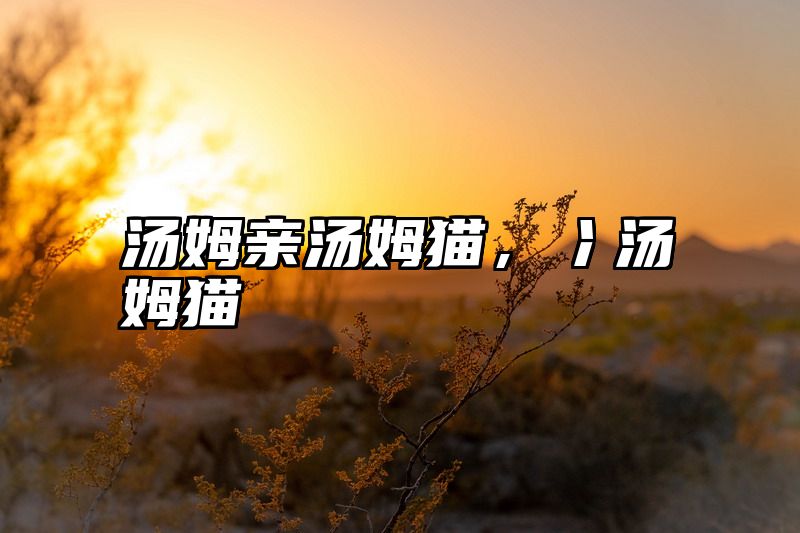 汤姆亲汤姆猫，冫汤姆猫