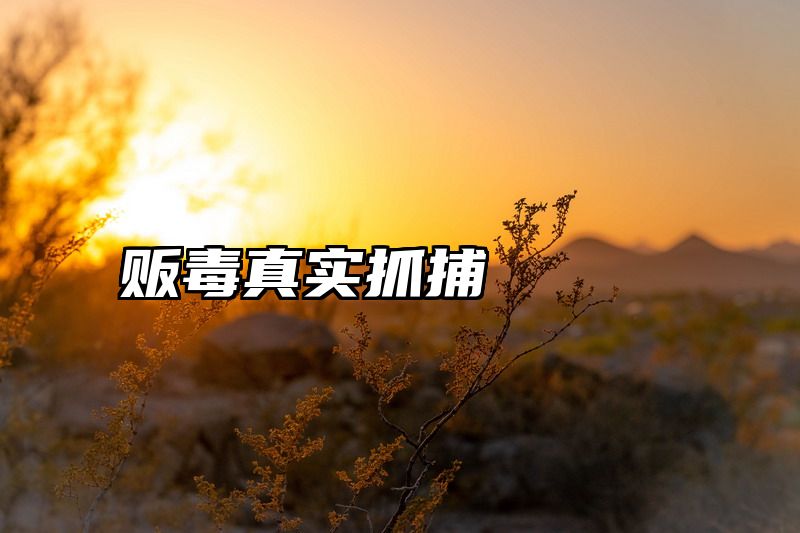 贩毒真实抓捕