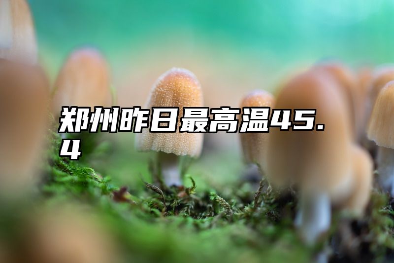 郑州昨日最高温45.4