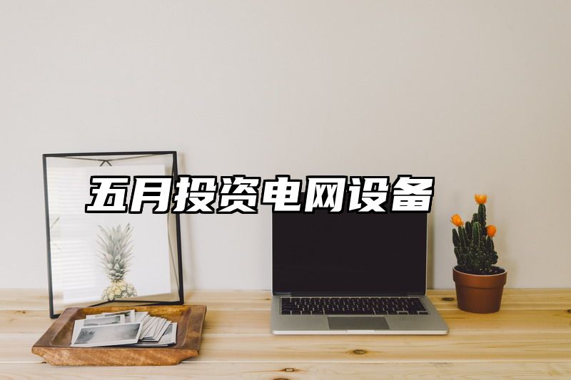 五月投资电网设备