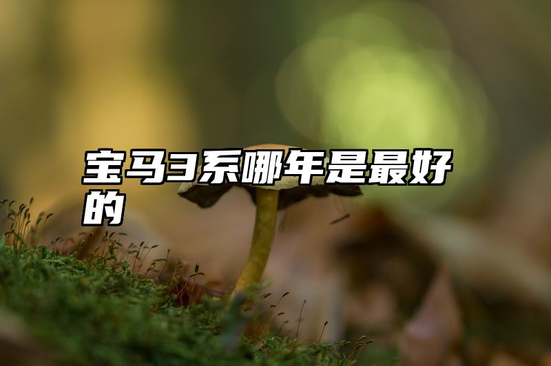 宝马3系哪年是最好的