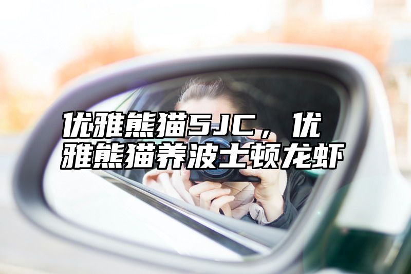 优雅熊猫5JC，优雅熊猫养波士顿龙虾
