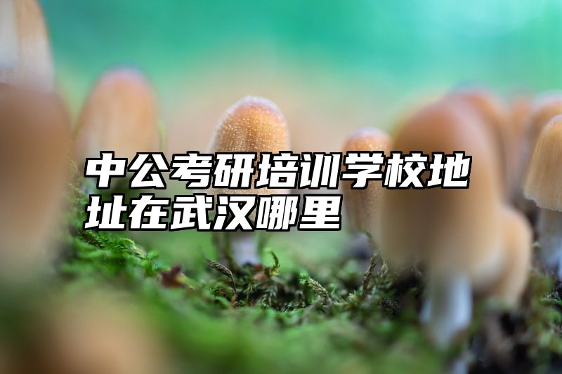 中公考研培训学校地址在武汉哪里