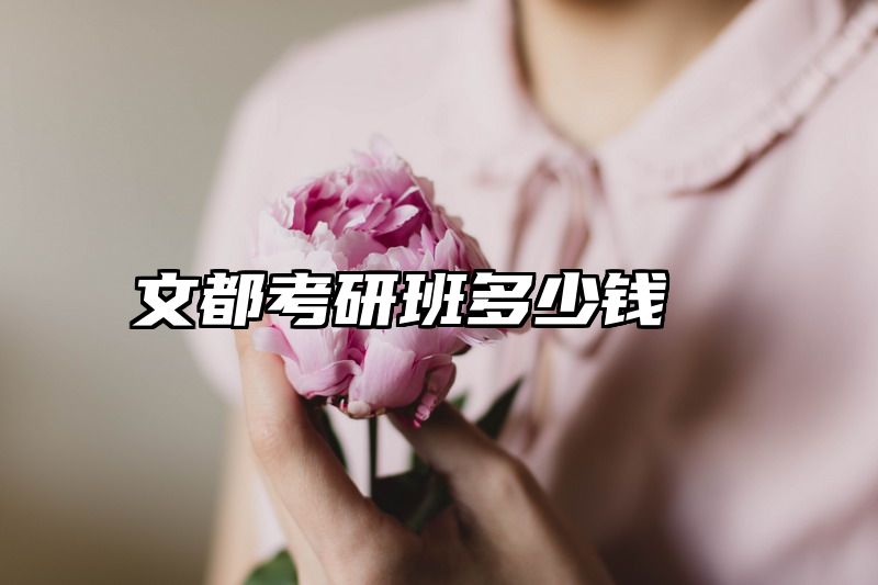文都考研班多少钱