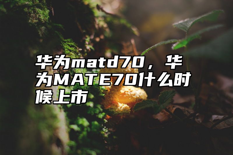 华为matd70，华为MATE70什么时候上市