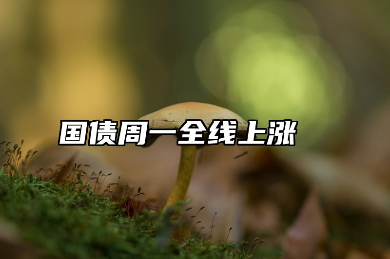 国债周一全线上涨