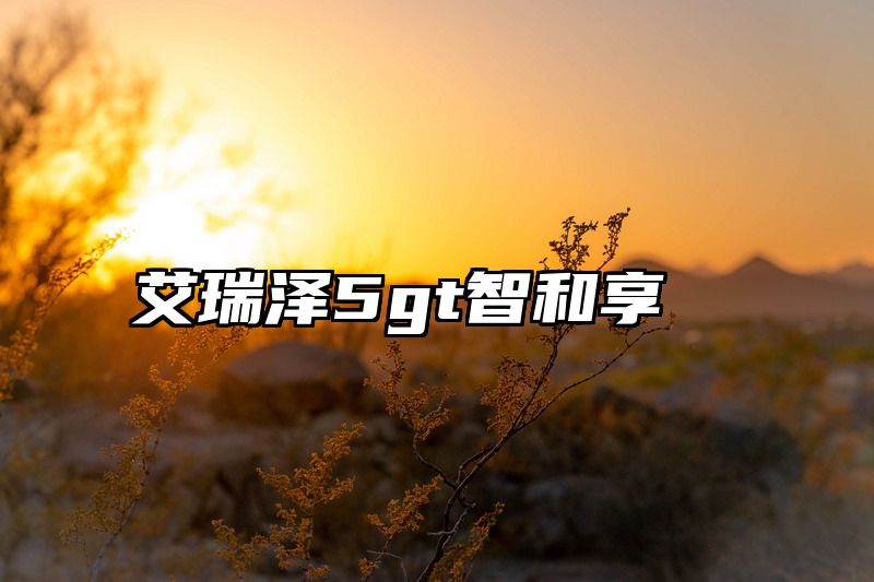 艾瑞泽5gt智和享