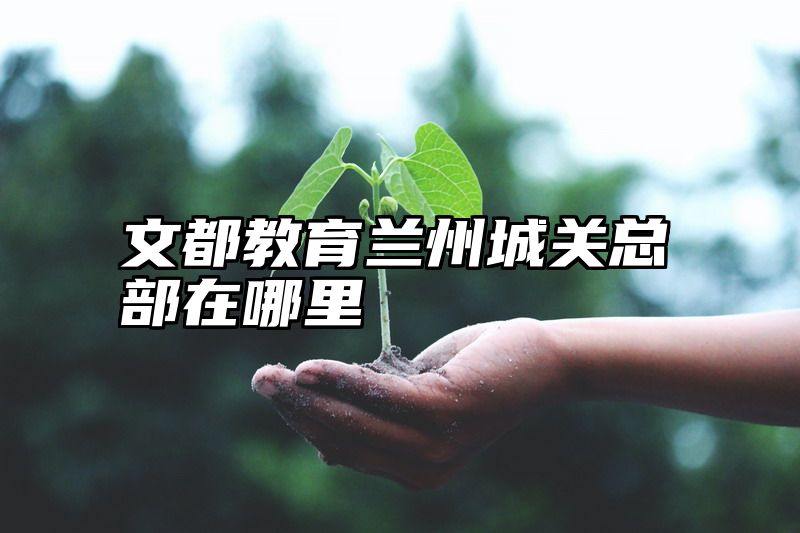 文都教育兰州城关总部在哪里