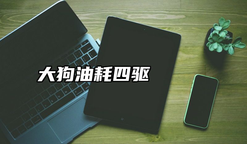 大狗油耗四驱