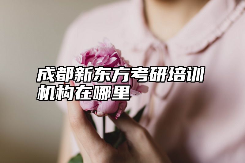 成都新东方考研培训机构在哪里