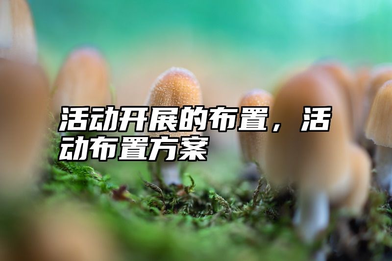 活动开展的布置，活动布置方案