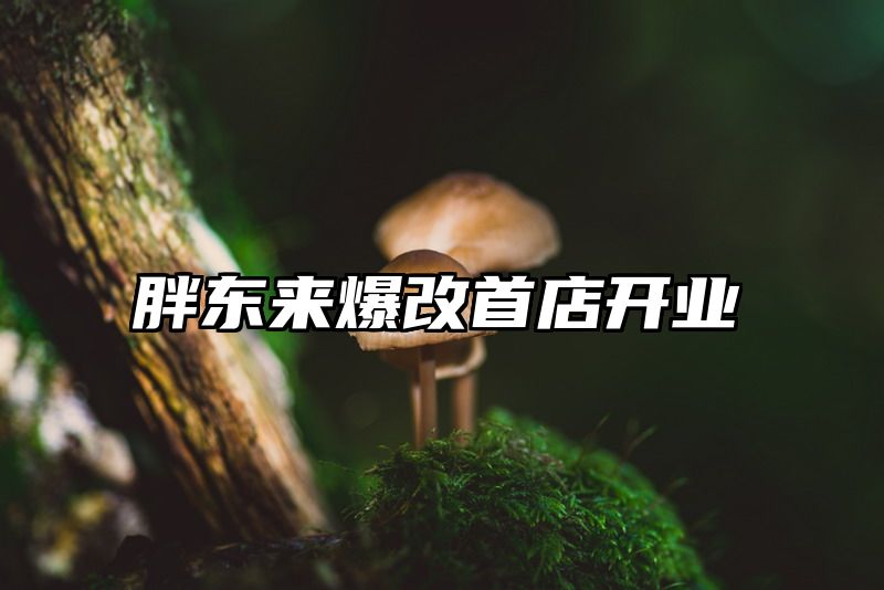 胖东来爆改首店开业
