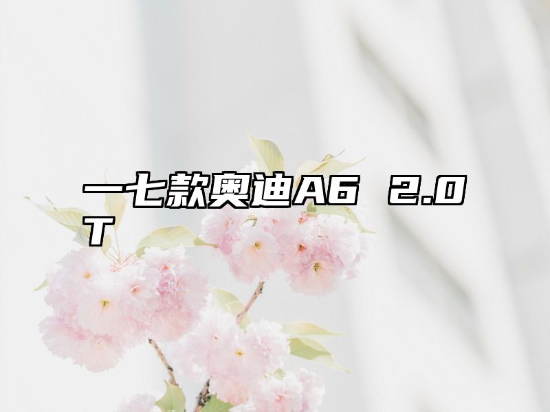 一七款奥迪A6 2.0T