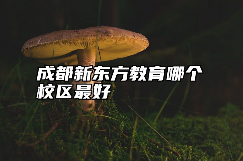 成都新东方教育哪个校区最好