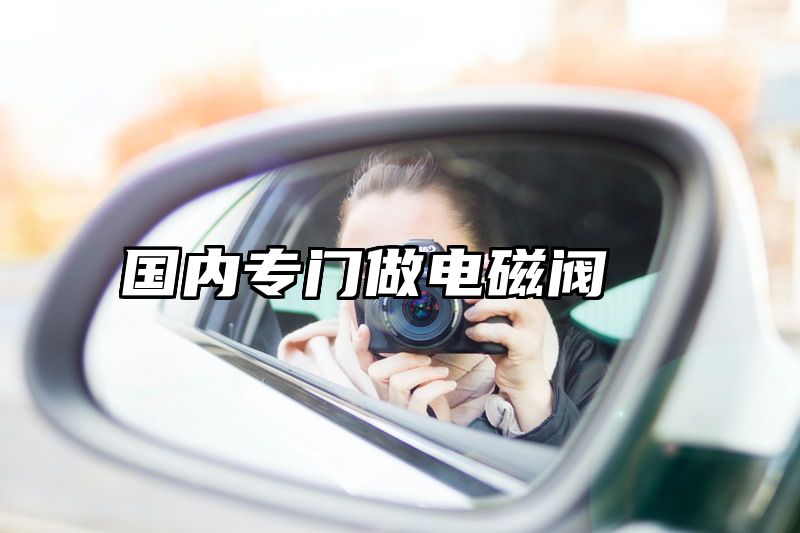 点击查看《国内专门做电磁阀》全文