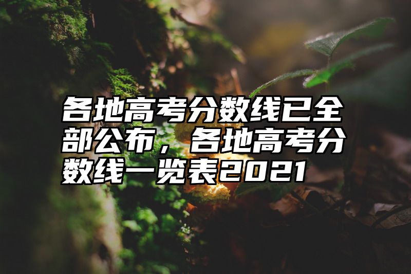 各地高考分数线已全部公布，各地高考分数线一览表2021
